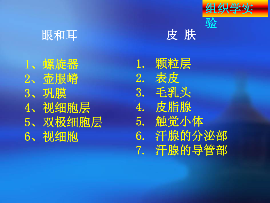 组织学与胚胎学实验考试 眼、耳、皮肤.ppt课件.ppt_第1页