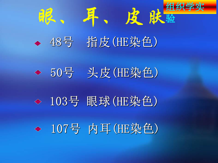 组织学与胚胎学实验考试 眼、耳、皮肤.ppt课件.ppt_第2页