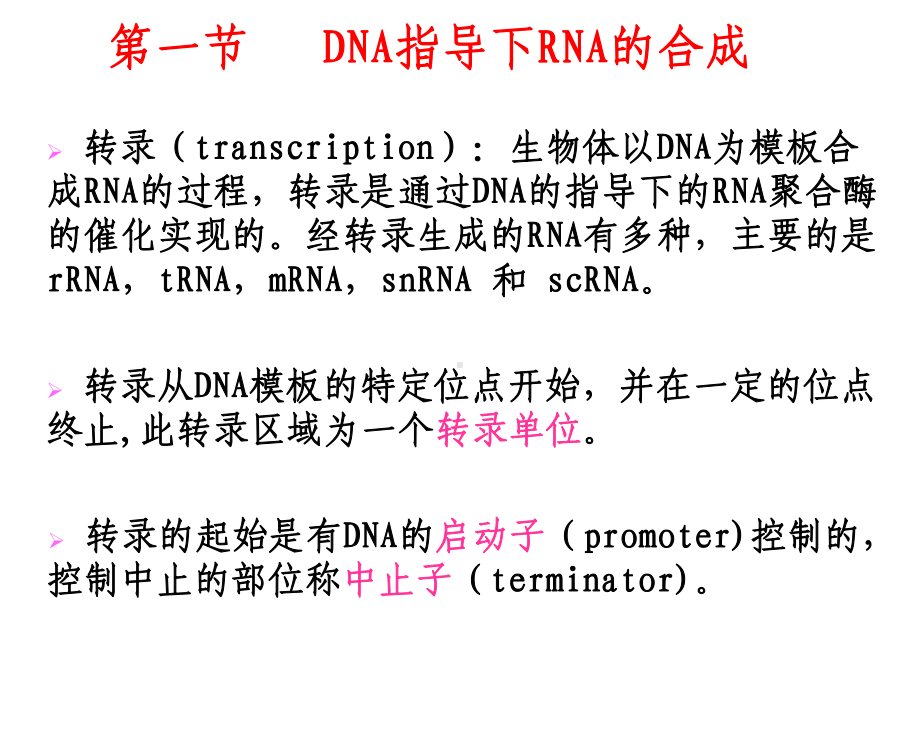 RNA生物合成和加工8（PPT）课件.ppt_第2页