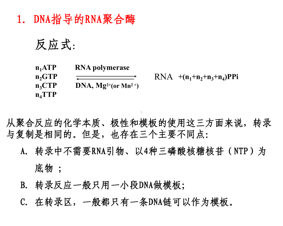 RNA生物合成和加工8（PPT）课件.ppt_第3页