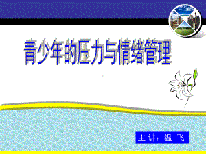 运用心理暗示保持积极的心态帮助孩子调整心态积极应对阿Q课件.ppt