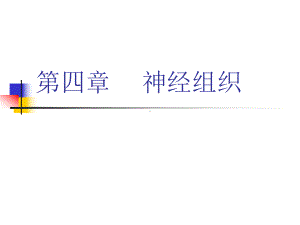 组织与胚胎学 04 神经组织课件.ppt