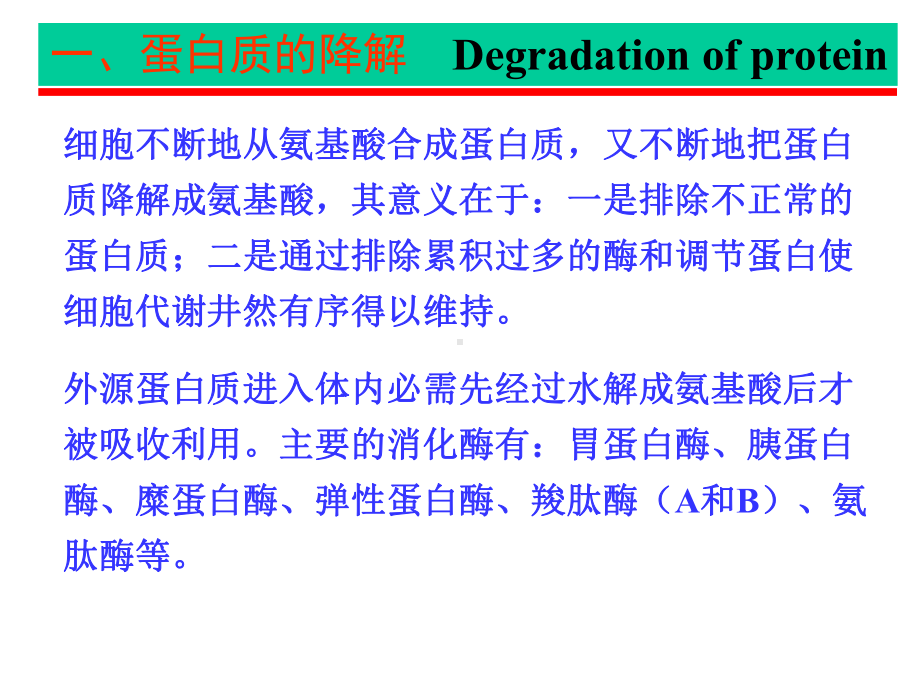 第30章蛋白质和氨基酸的降解课件.ppt_第3页