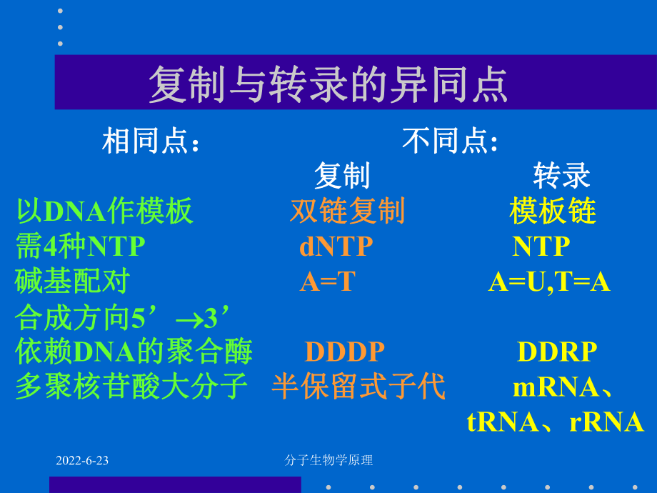 分子生物学原理-RNA的生物合成（PPT）课件.ppt_第2页