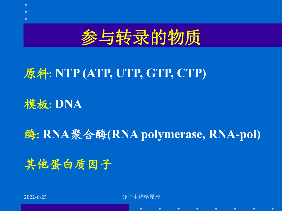 分子生物学原理-RNA的生物合成（PPT）课件.ppt_第3页