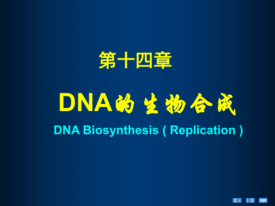 第八版生物化学与分子生物学 DNA的生物合成课件.ppt_第2页