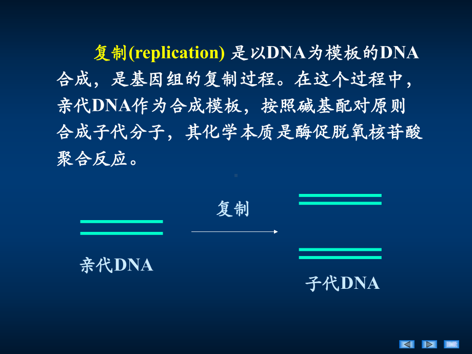 第八版生物化学与分子生物学 DNA的生物合成课件.ppt_第3页