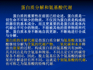 蛋白质与核酸代谢及dna合成课件.ppt