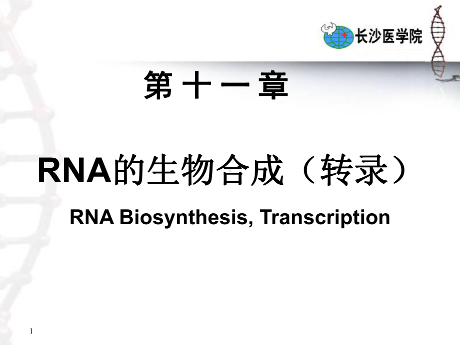 第十一章RNA的生物合成（转录）.ppt课件.ppt_第1页