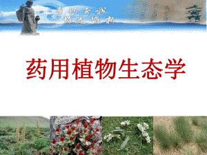 药用植物生态学地道药材与中药资源分布精要课件.ppt