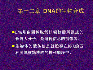 第十二章 dna的生物合成　课件.ppt