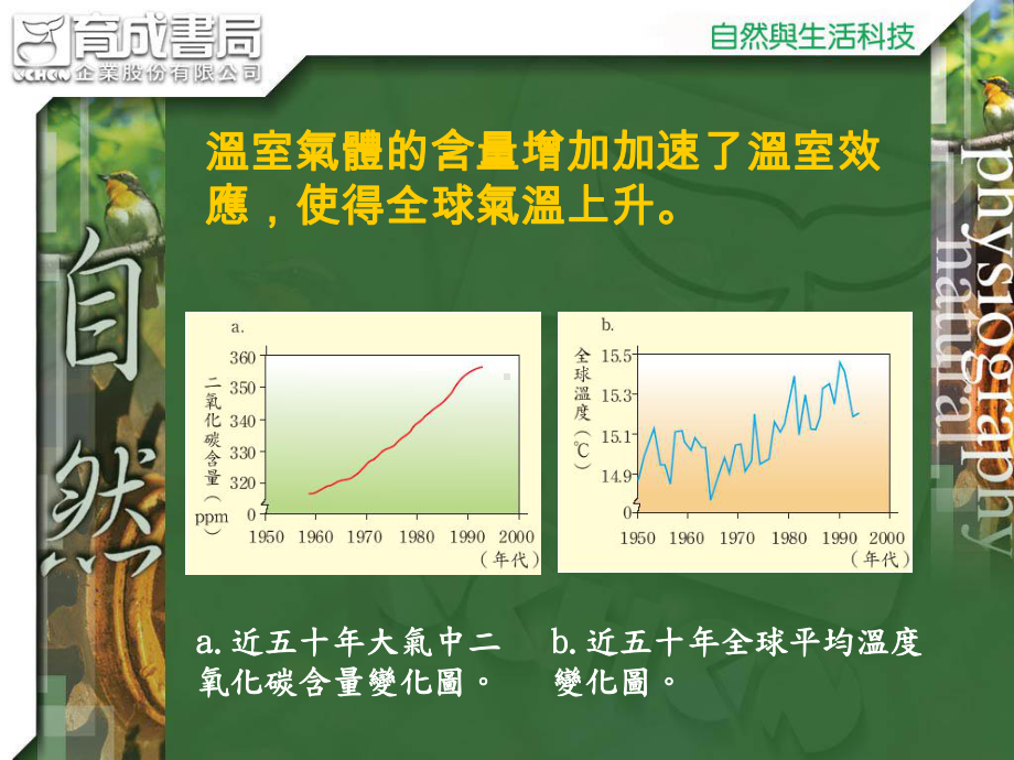 降低臭氧浓度氟氯碳化合物课件.ppt_第3页