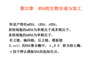 第32章rna的生物合成与加工.ppt课件.ppt