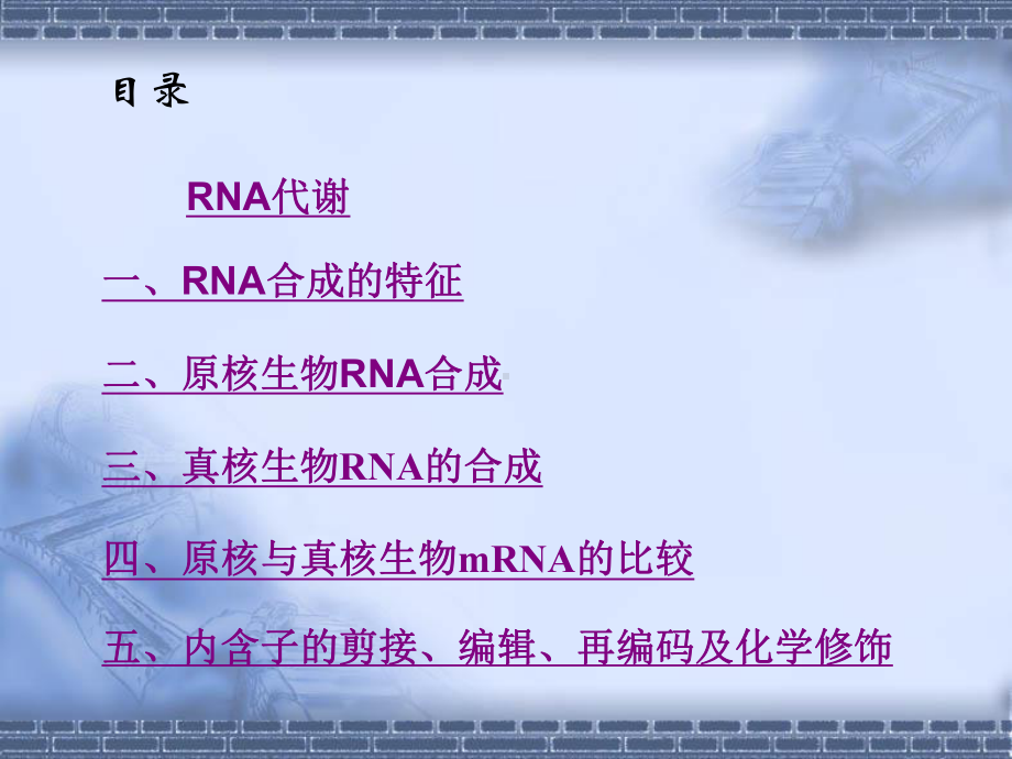 四讲RNA生物合成（精品PPT）课件.ppt_第2页