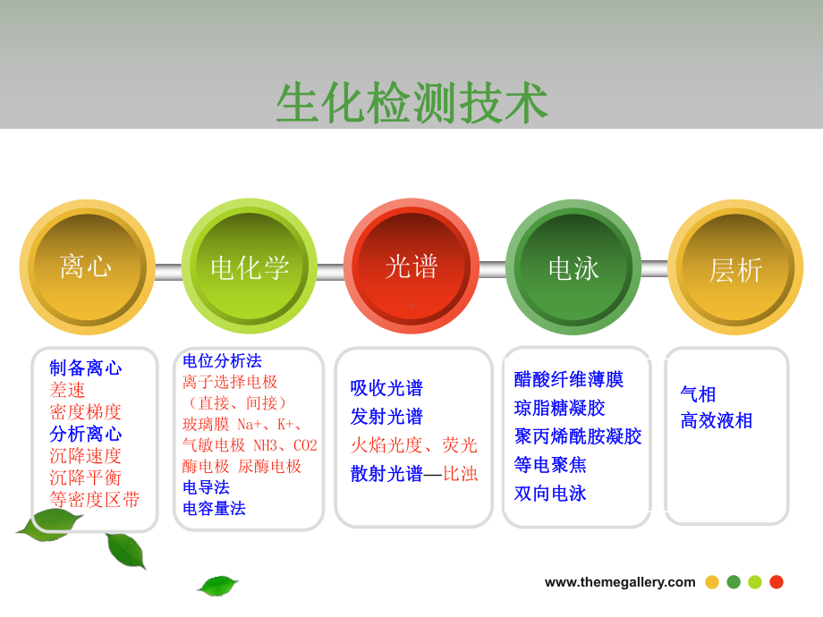 生化检测技术课件.ppt_第2页