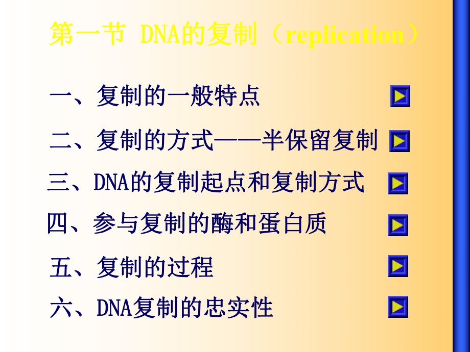 基础生化-2011第九章 DNA的生物合成课件.ppt_第2页