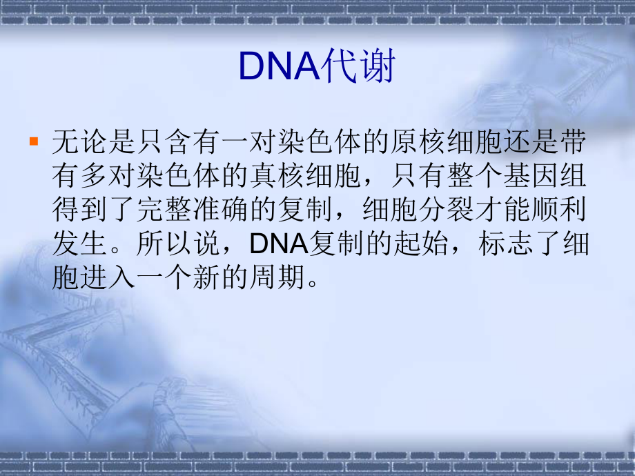 第三讲-DNA与RNA生物合成（PPT）课件.ppt_第3页