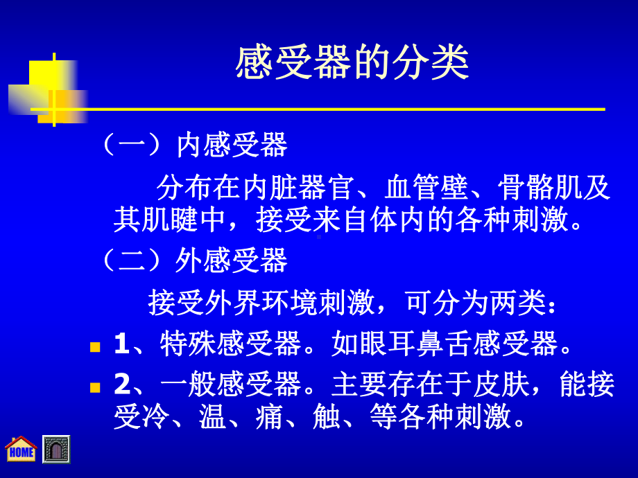 组织胚胎学 第九章感觉器官课件.ppt_第3页