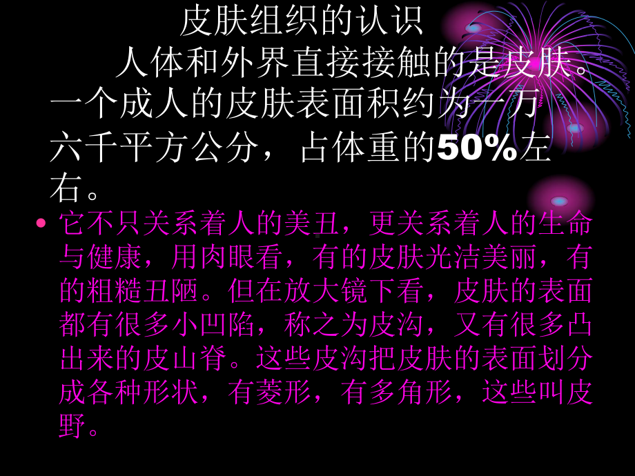 皮肤组织的认识课件.ppt_第1页