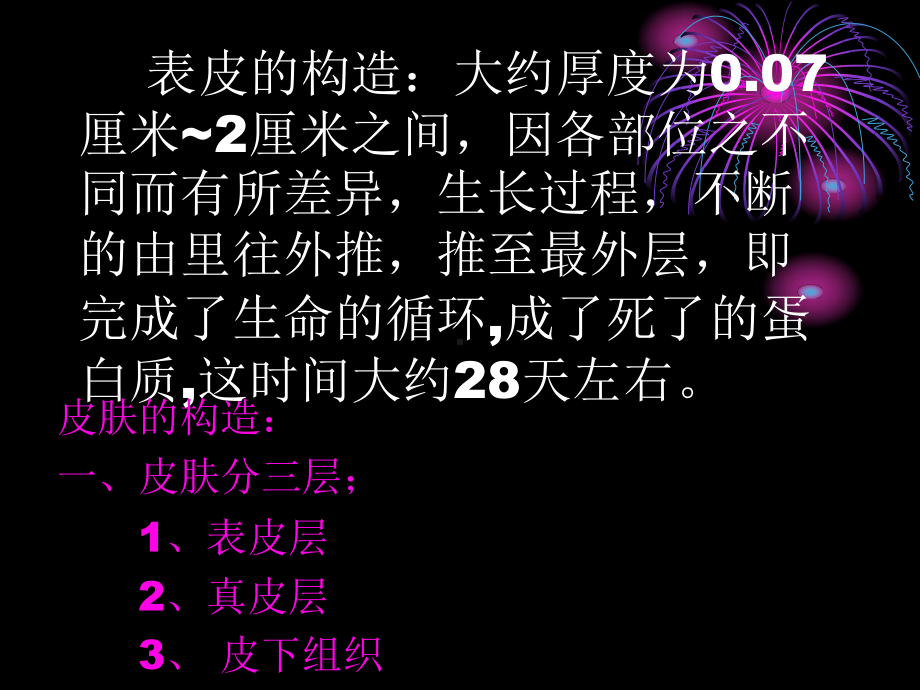 皮肤组织的认识课件.ppt_第2页