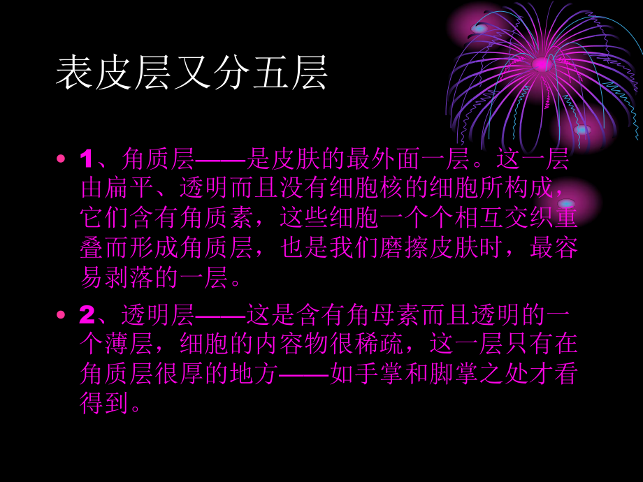 皮肤组织的认识课件.ppt_第3页