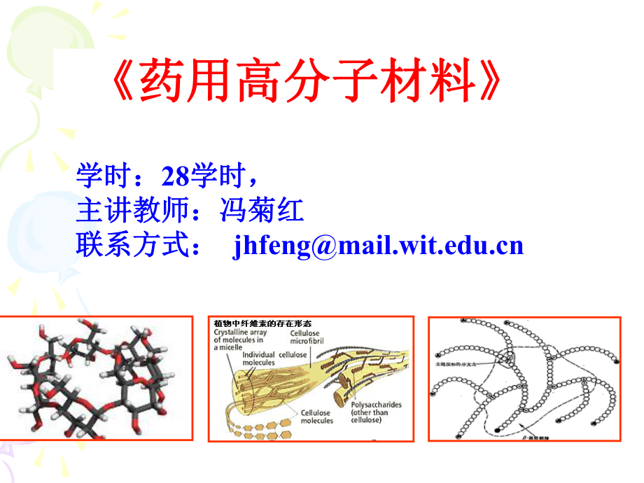 《药用高分子材料》第一章 绪论课件.ppt_第1页