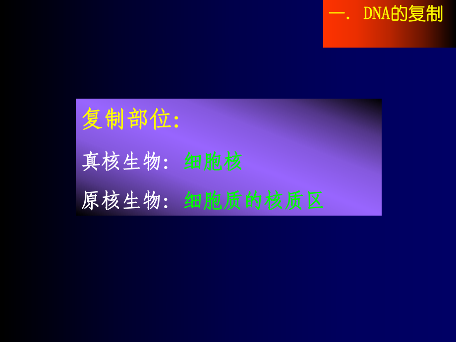 第一节 DNA的生物合成（精品-ppt）课件.ppt_第2页