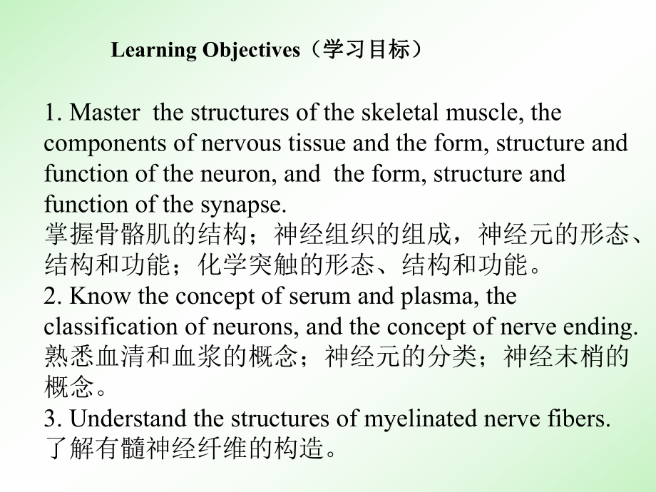 3[1][1].肌组织-神经组织课件.ppt_第1页