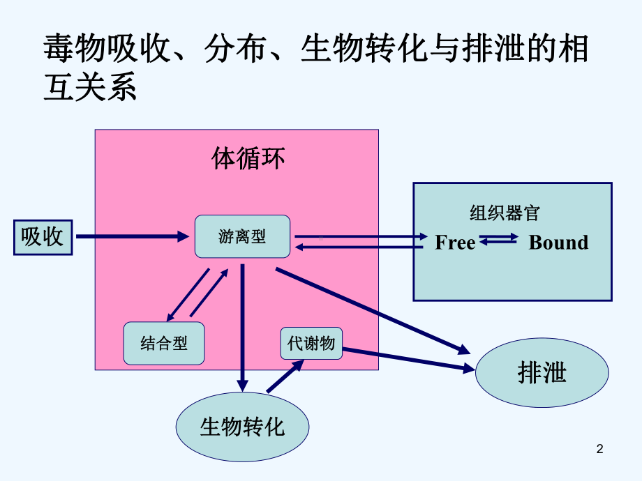 药物毒物代谢动力学(修)课件.ppt_第2页