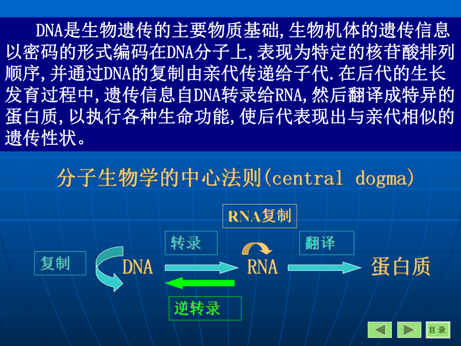 DNA的生物合成6课件.ppt_第1页