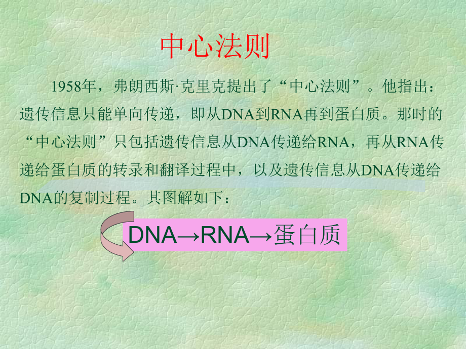 第十二章DNA的生物合成-2016课件.ppt_第3页