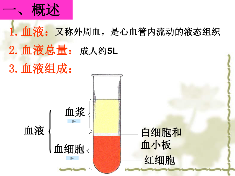 刘芬《组织学与胚胎学》第4章 血液-芬课件.ppt_第3页