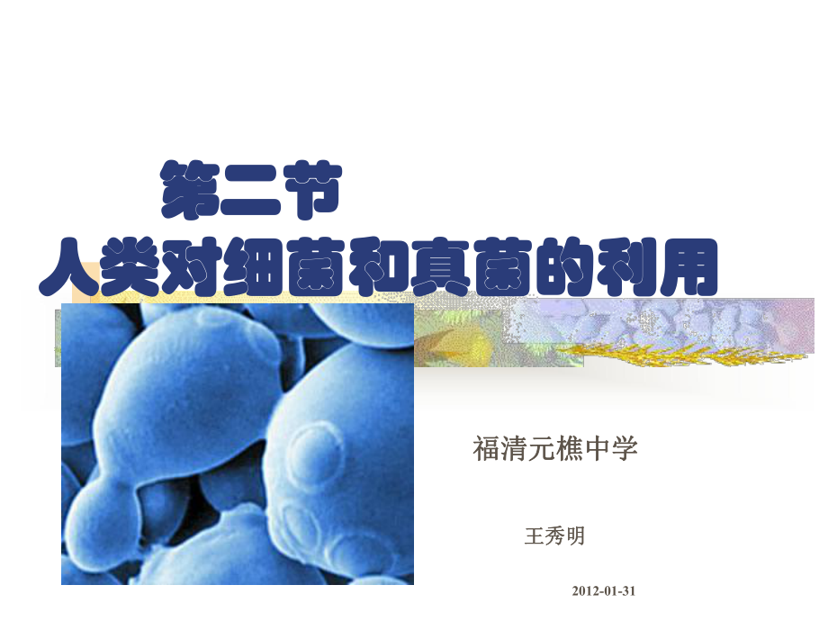 第二节人类对细菌和真菌的利用课件.ppt_第2页