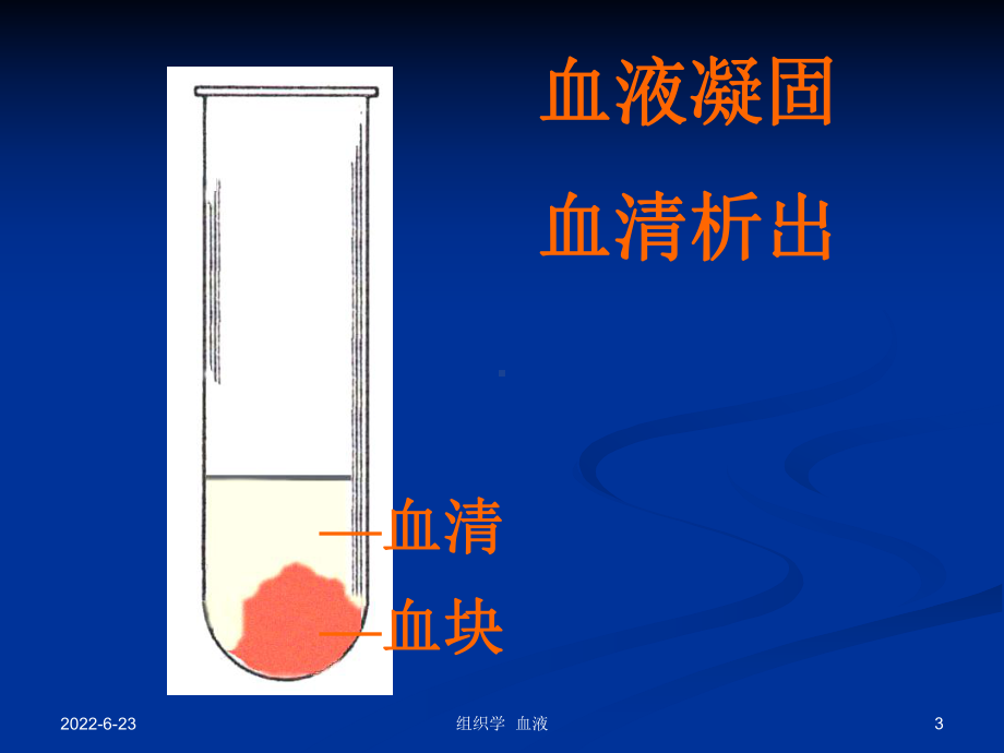 组织学与胚胎学 血液[最新]课件.ppt_第3页