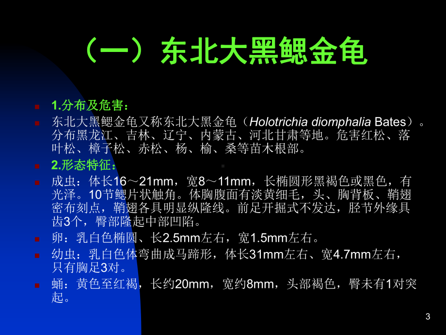 苗圃地下害虫防治一-黑龙江齐齐哈尔林业学校课件.ppt_第3页