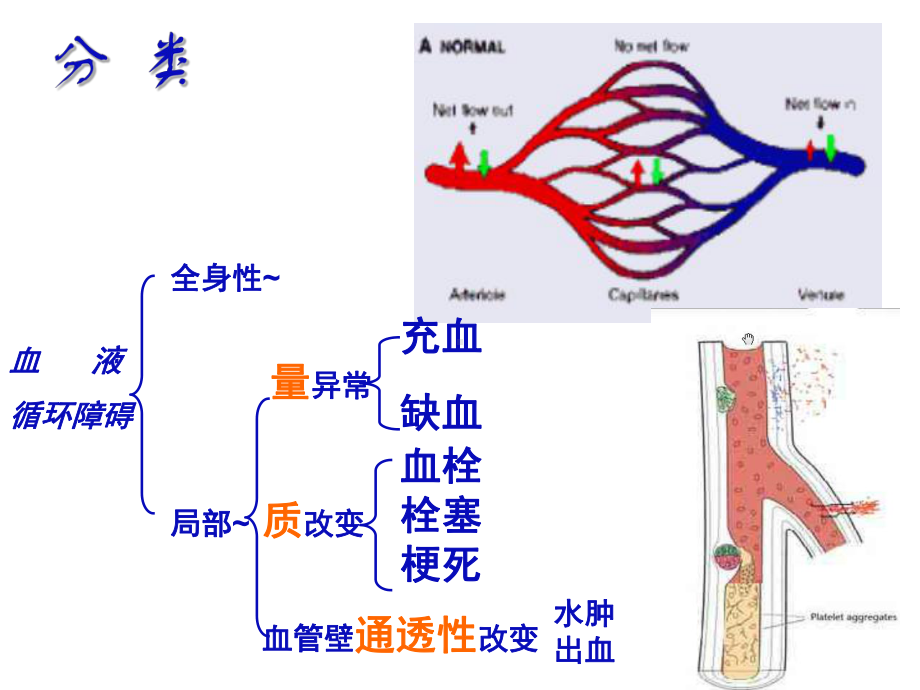 第三章--局部血液循环障碍课件.ppt_第2页