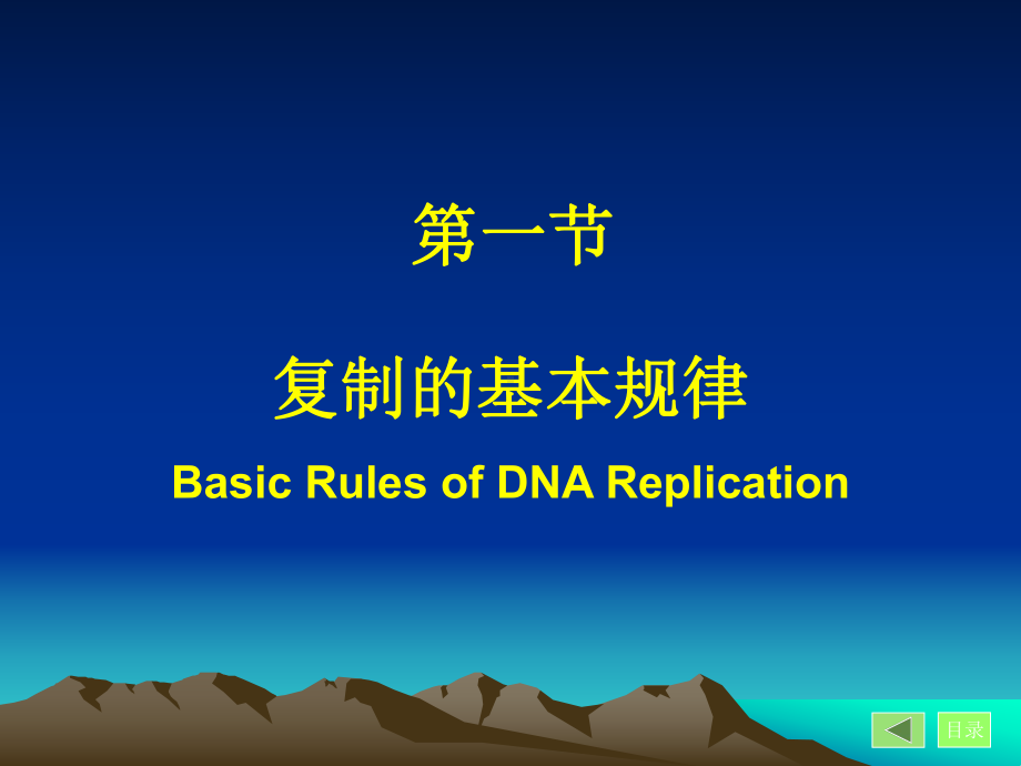 第10章 DNA的生物合成（复制）课件.ppt_第3页