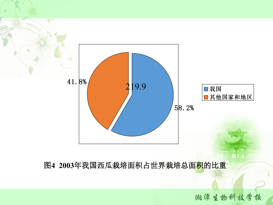 要求较高的栽培管理技术西瓜课件.ppt_第3页