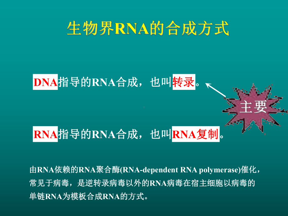 11-RNA的生物合成.ppt课件.ppt_第3页