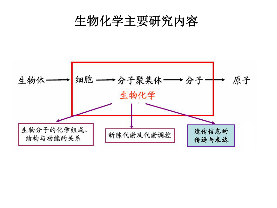 第章DNA的生物合成（PPT 精品）课件.ppt_第1页