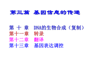 生物化学之DNA的生物合成课件.ppt