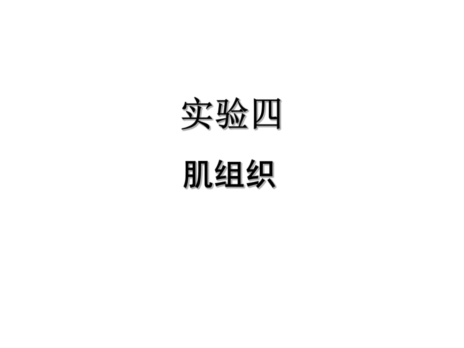 实验四 肌组织与皮肤 组织胚胎学课件.ppt_第1页