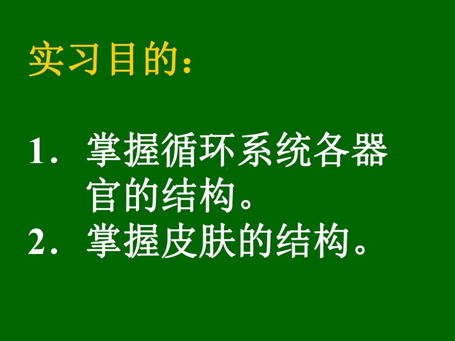 组织学与胚胎学实习六 皮肤和循环皮肤.ppt课件.ppt_第2页