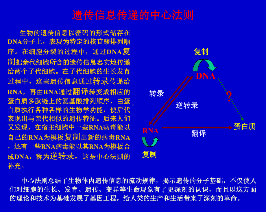 第十二章DNA的生物合成（PPT 精品）课件.ppt_第3页