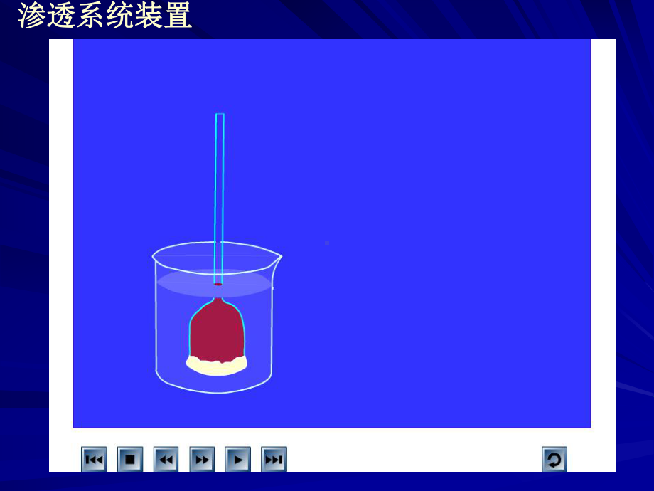 物质跨膜运输的实例ppt44-人教课标版课件.ppt_第2页