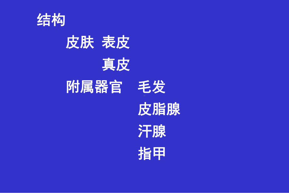 组织学与胚胎学之皮肤（PPT）课件.ppt_第3页