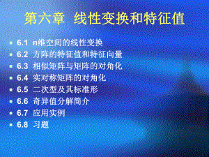 第6章-线性变换和特征值课件.ppt