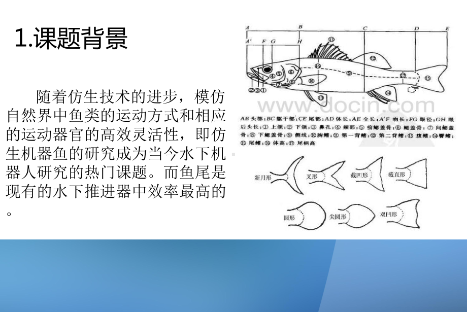 仿生鱼尾摆动海流发电装置研究课件.ppt_第3页