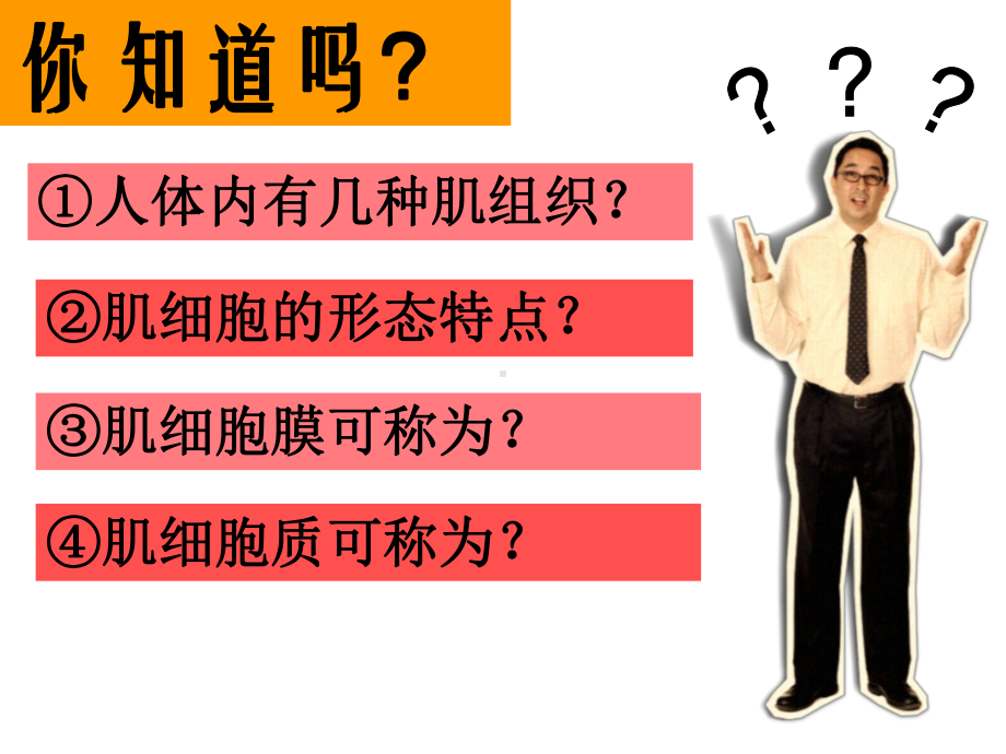 肌组织+神经组织.ppt课件.ppt_第2页