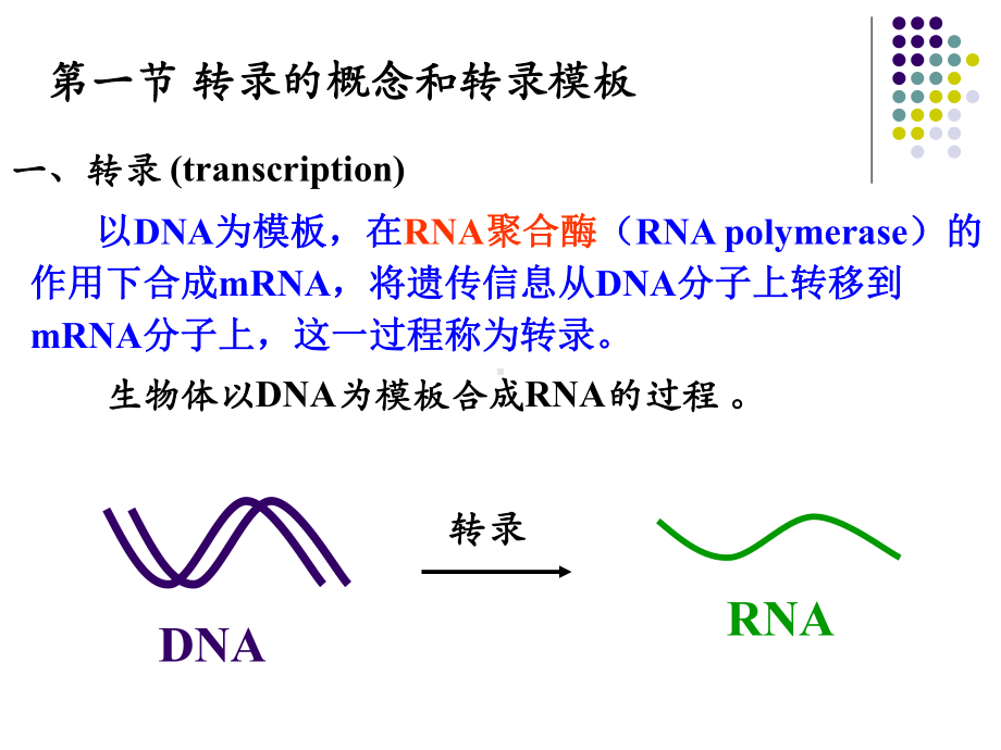 RNA的生物合成(动物生化)（PPT）课件.ppt_第1页